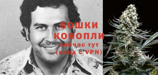 спиды Краснослободск