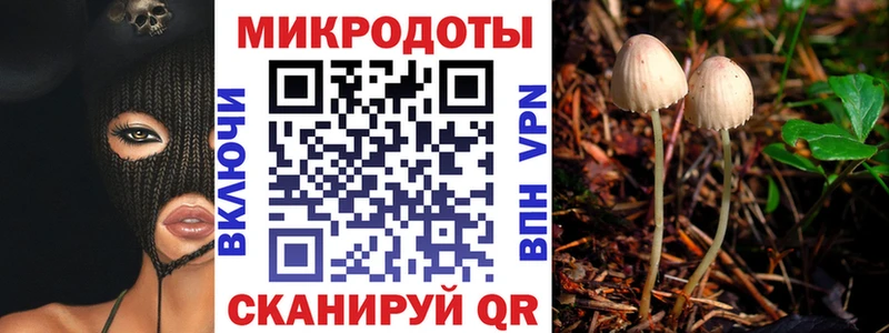 hydra ссылка  что такое   Щёлково  Галлюциногенные грибы мухоморы 